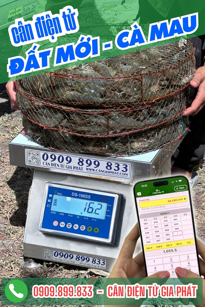 Cân điện tử xã Đất Mới Cà Mau - Cân Gia Phát