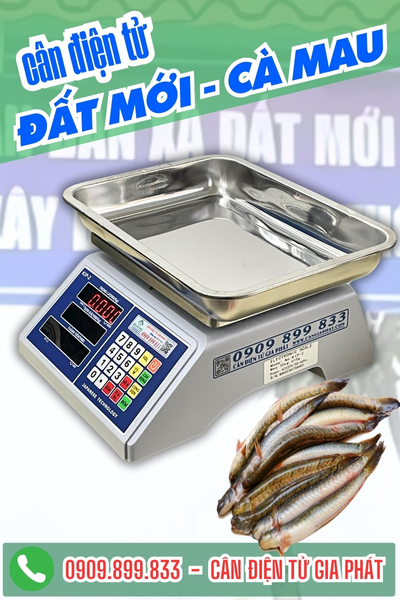 Cân điện tử xã Đất Mới Cà Mau - Cân Gia Phát