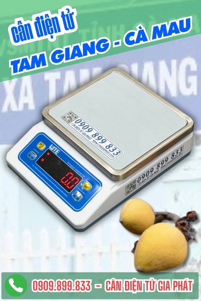 Cân điện tử Tam Giang Cà Mau - Cân Gia Phát