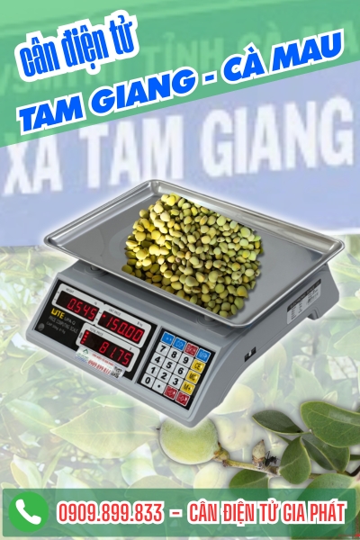 Cân điện tử Tam Giang Cà Mau - Cân Gia Phát
