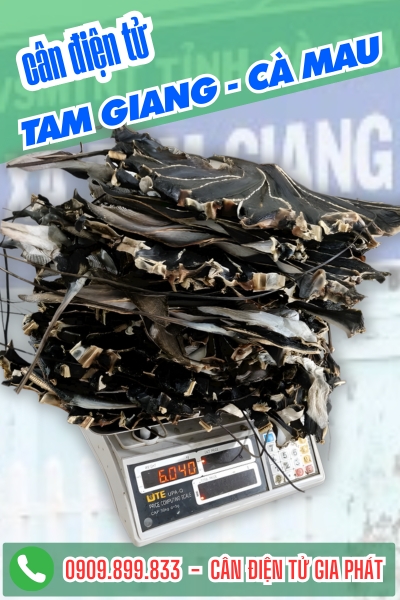 Cân điện tử Tam Giang Cà Mau - Cân Gia Phát