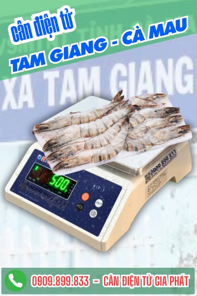 Cân điện tử Tam Giang Cà Mau - Cân Gia Phát