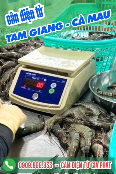 Cân điện tử Tam Giang Cà Mau - Cân Gia Phát