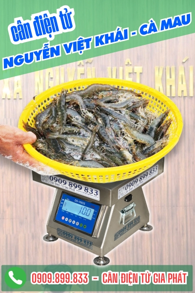 Cân điện tử Nguyễn Việt Khái Cà Mau - Cân Gia Phát