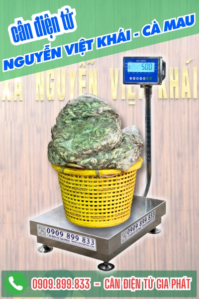 Cân điện tử Nguyễn Việt Khái Cà Mau - Cân Gia Phát