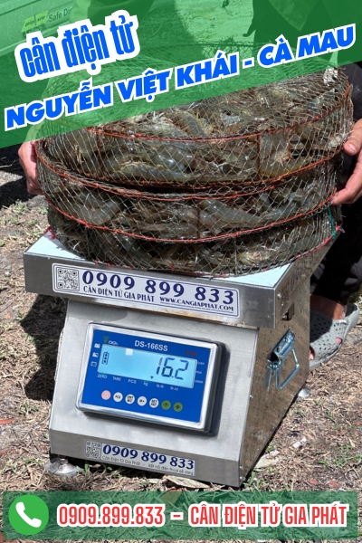 Cân điện tử Nguyễn Việt Khái Cà Mau - Cân Gia Phát
