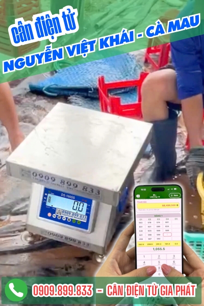 Cân điện tử Nguyễn Việt Khái Cà Mau - Cân Gia Phát