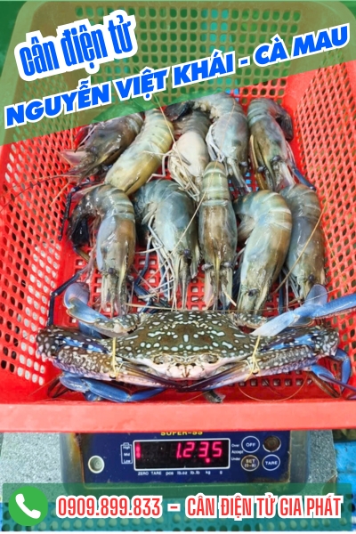 Cân điện tử Nguyễn Việt Khái Cà Mau - Cân Gia Phát