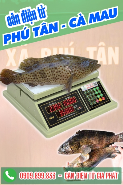 Cân điện tử Phú Tân Cà Mau - Cân Gia Phát