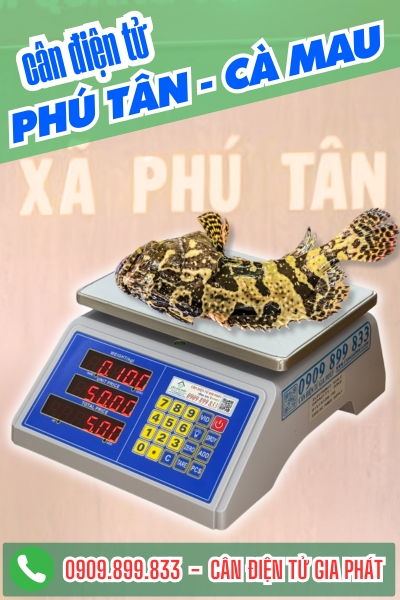 Cân điện tử Phú Tân Cà Mau - Cân Gia Phát