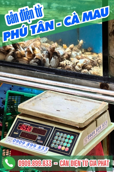 Cân điện tử Phú Tân Cà Mau - Cân Gia Phát