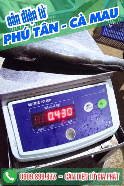 Cân điện tử xã Phú Tân Cà Mau - Cân Gia Phát