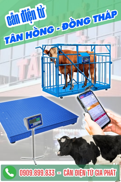Cân điện tử ở Tân Hồng Cà Mau - Cân Gia Phát