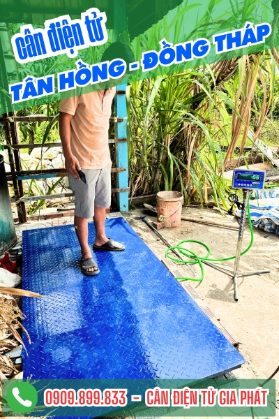 Cân điện tử ở Tân Hồng Cà Mau - Cân Gia Phát