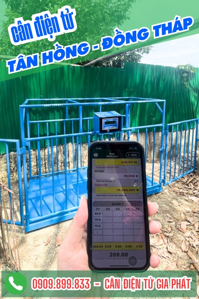 Cân điện tử ở Tân Hồng Cà Mau - Cân Gia Phát