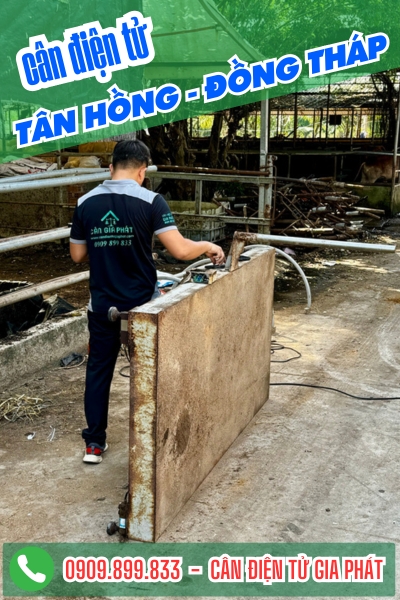 Cân điện tử ở Tân Hồng Cà Mau - Cân Gia Phát