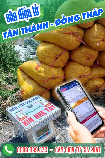 Cân điện tử ở Tân Thành Đồng Tháp - Cân Gia Phát
