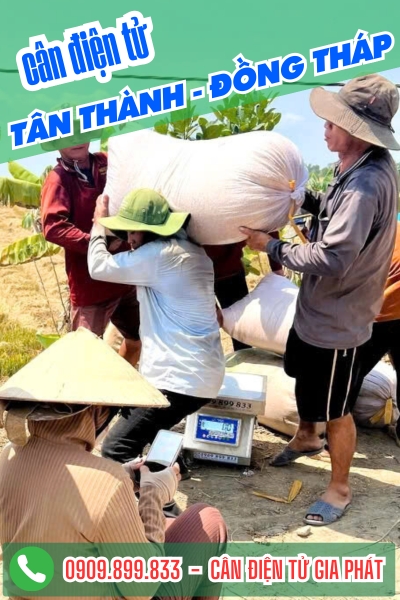 Cân điện tử ở Tân Thành Đồng Tháp - Cân Gia Phát