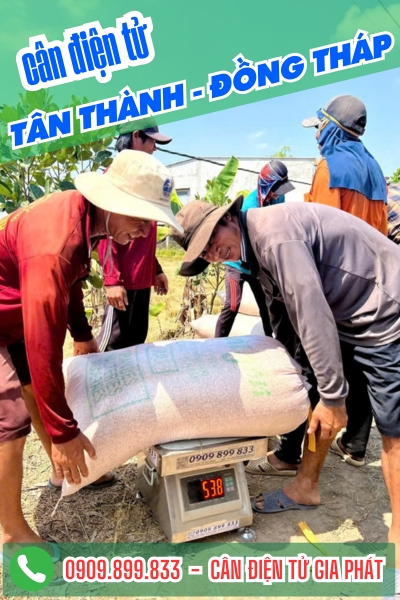 Cân điện tử ở Tân Thành Đồng Tháp - Cân Gia Phát