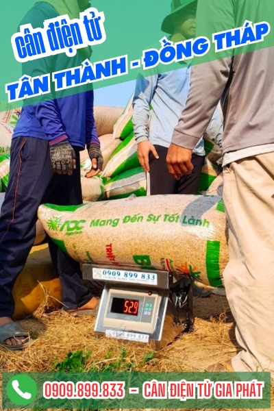 Cân điện tử ở Tân Thành Đồng Tháp - Cân Gia Phát