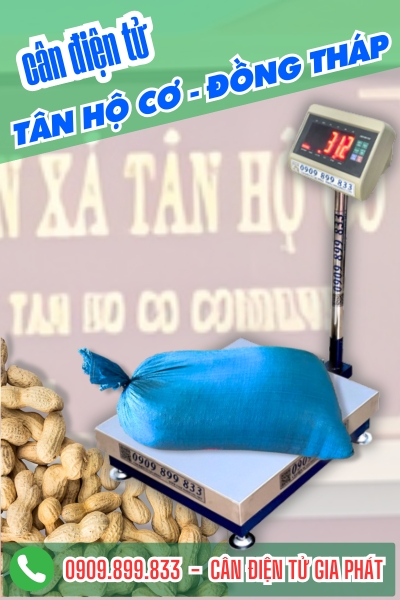 Cân điện tử ở Tân Hộ Cơ Đồng Tháp - Cân Gia Phát
