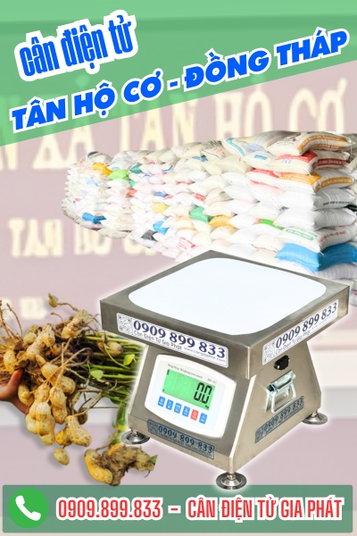 Cân điện tử ở Tân Hộ Cơ Đồng Tháp - Cân Gia Phát