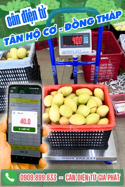 Cân điện tử ở Tân Hộ Cơ Đồng Tháp - Cân Gia Phát