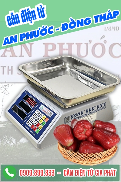 Cân điện tử ở An Phước Đồng Tháp - Cân Gia Phát