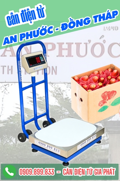 Cân điện tử ở An Phước Đồng Tháp - Cân Gia Phát
