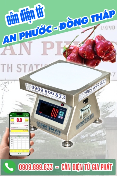Cân điện tử ở An Phước Đồng Tháp - Cân Gia Phát