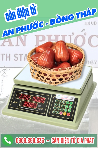 Cân điện tử ở An Phước Đồng Tháp - Cân Gia Phát