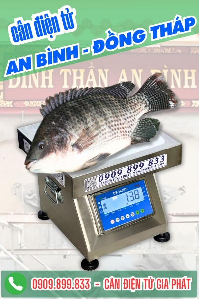 C&acirc;n điện tử ở An B&igrave;nh Đồng Th&aacute;p - C&acirc;n Gia Ph&aacute;t