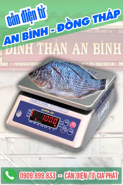 C&acirc;n điện tử ở An B&igrave;nh Đồng Th&aacute;p - C&acirc;n Gia Ph&aacute;t