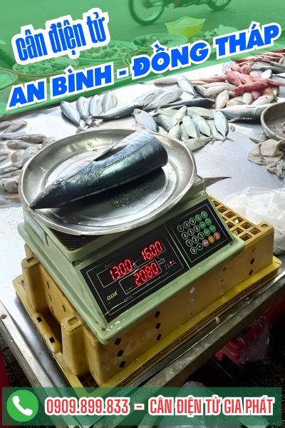 C&acirc;n điện tử ở An B&igrave;nh Đồng Th&aacute;p - C&acirc;n Gia Ph&aacute;t