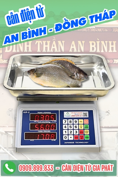 C&acirc;n điện tử ở An B&igrave;nh Đồng Th&aacute;p - C&acirc;n Gia Ph&aacute;t