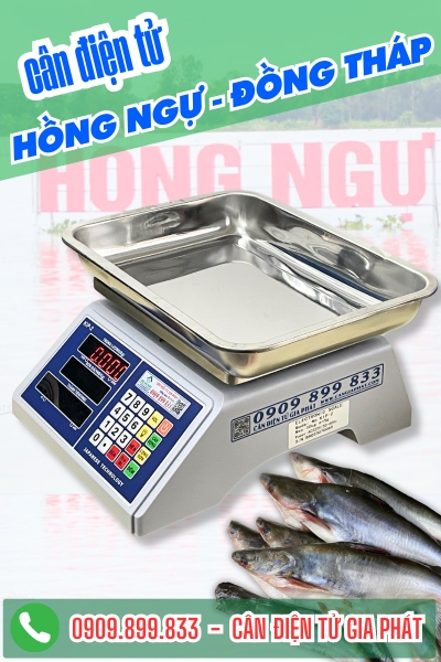 Cân điện tử ở Hồng Ngự Đồng Tháp - Cân Gia Phát