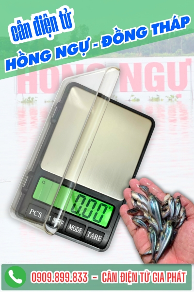 Cân điện tử ở Hồng Ngự Đồng Tháp - Cân Gia Phát