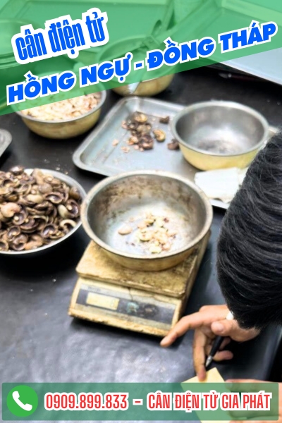 Cân điện tử ở Hồng Ngự Đồng Tháp - Cân Gia Phát