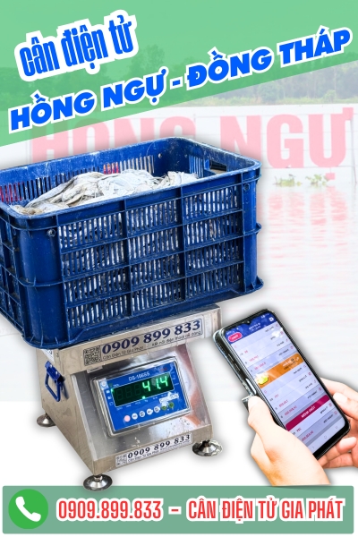 Cân điện tử ở Hồng Ngự Đồng Tháp - Cân Gia Phát