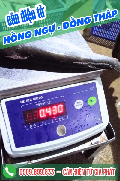 Cân điện tử ở Hồng Ngự Đồng Tháp - Cân Gia Phát