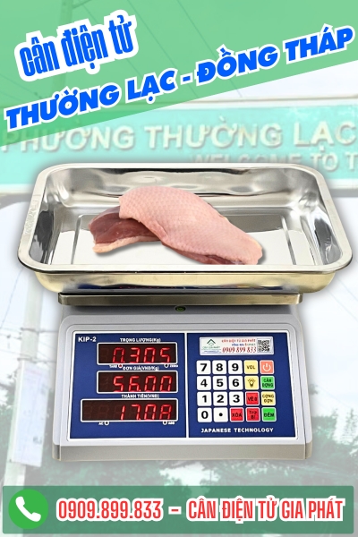 Cân điện tử ở Thường Lạc Đồng Tháp - Cân Gia Phát