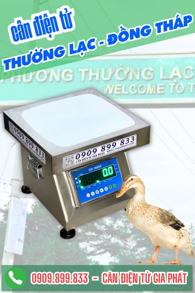 Cân điện tử ở Thường Lạc Đồng Tháp - Cân Gia Phát