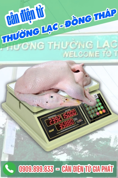 Cân điện tử ở Thường Lạc Đồng Tháp - Cân Gia Phát