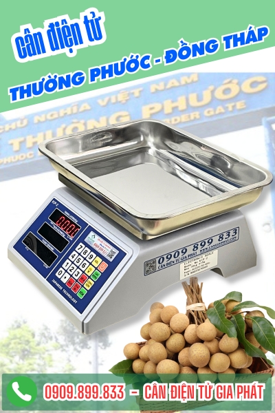 Cân điện tử ở Thường Phước Đồng Tháp - Cân Gia Phát