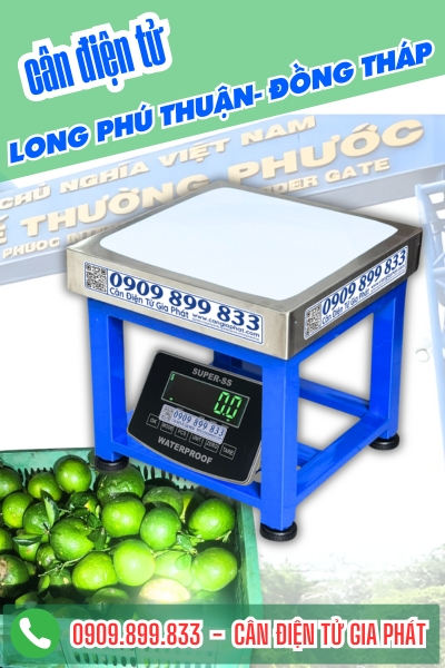 Cân điện tử ở Thường Phước Đồng Tháp - Cân Gia Phát