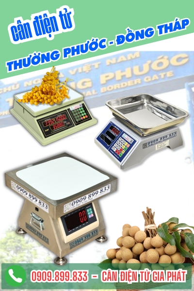 Top cân điện tử ở xã Thường Phước Đồng Tháp chuyên cân cam xoài nhãn và các loại trái cây khác.