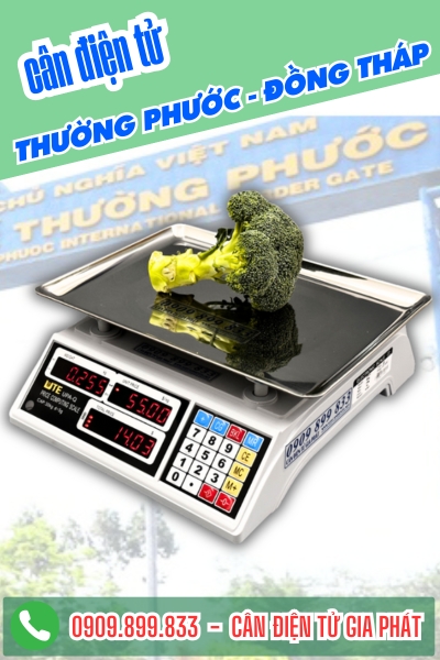 Cân điện tử ở Thường Phước Đồng Tháp - Cân Gia Phát