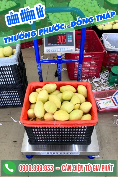 Cân điện tử ở Thường Phước Đồng Tháp - Cân Gia Phát