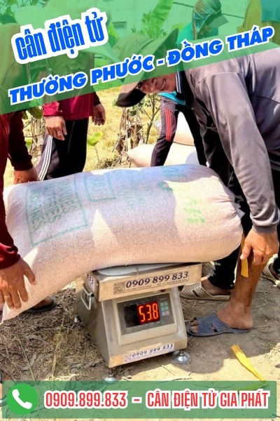 Cân điện tử ở Thường Phước Đồng Tháp - Cân Gia Phát
