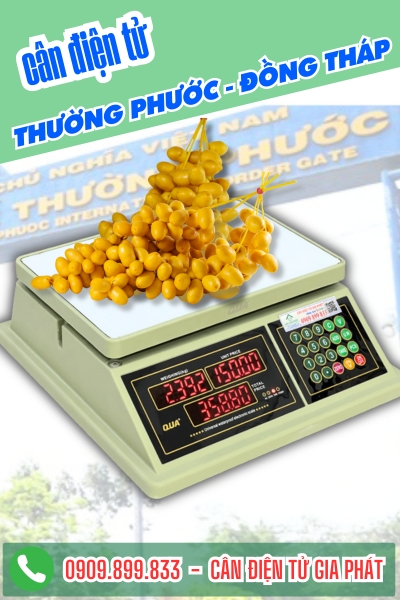 Cân điện tử ở Thường Phước Đồng Tháp - Cân Gia Phát